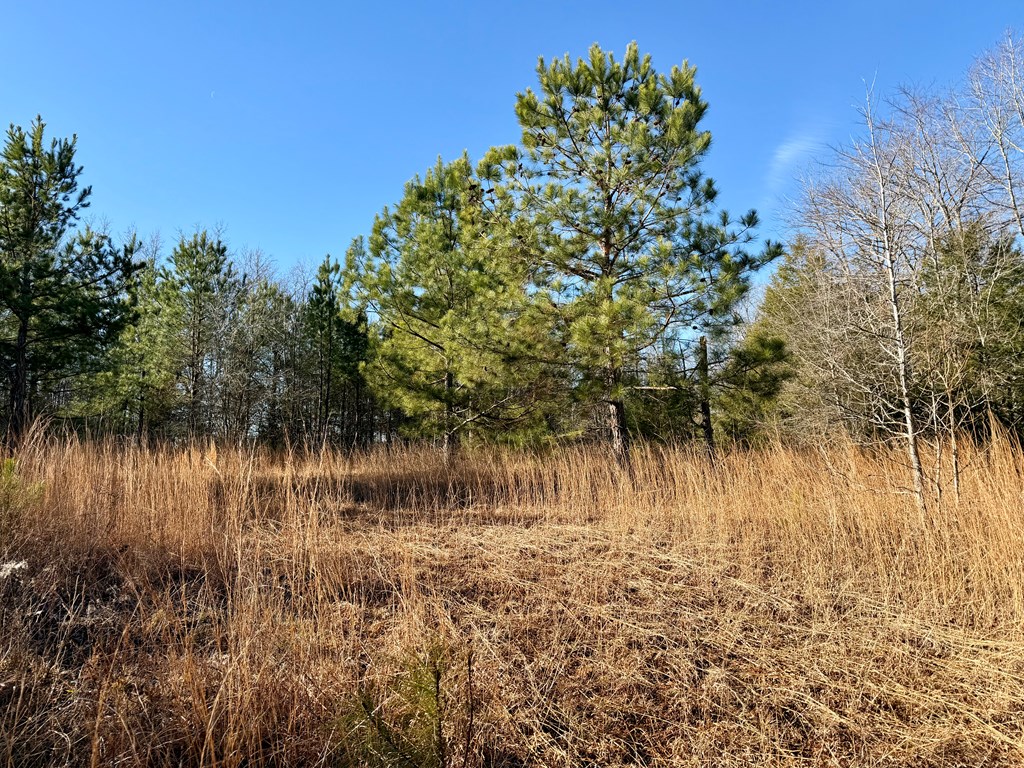 0 Neely Ferry Road Gray Court, SC 29645 - Photo 2 of 23 Gallery Image 2