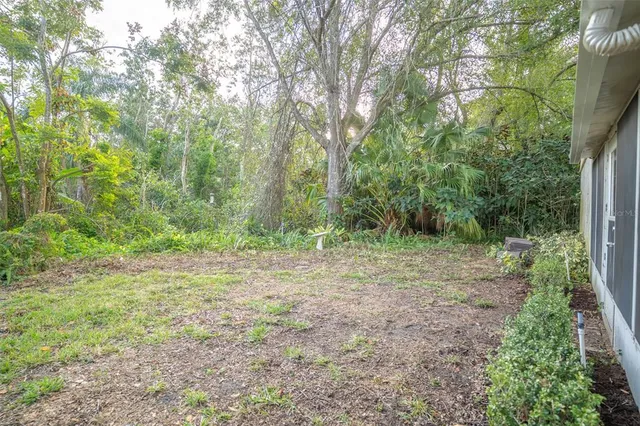a view of a yard with plants and large trees