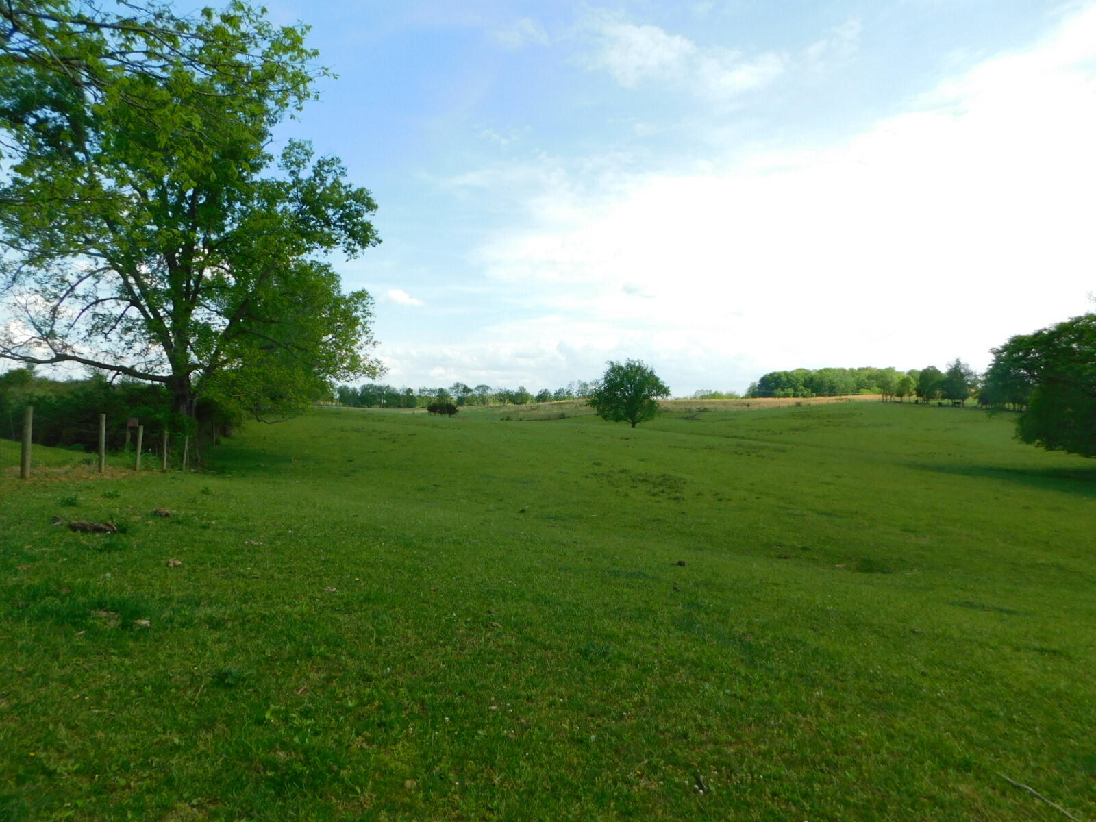 0 Robinson Road Cynthiana, KY 41031 - Photo 3 of 15 Gallery Image 3