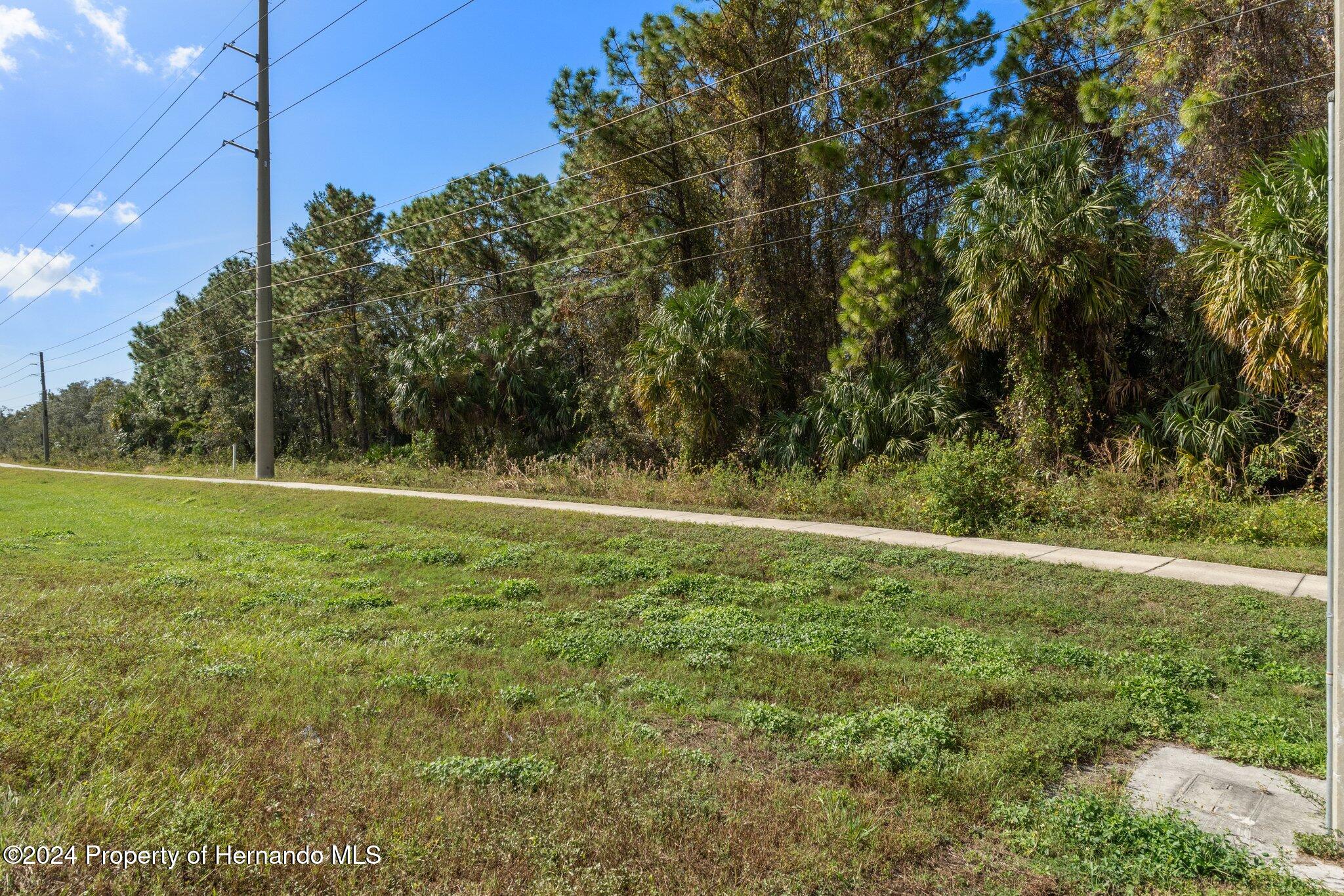 18119 Us-19 Hudson, FL 34667 - Photo 43 of 47 a view of a field with an trees