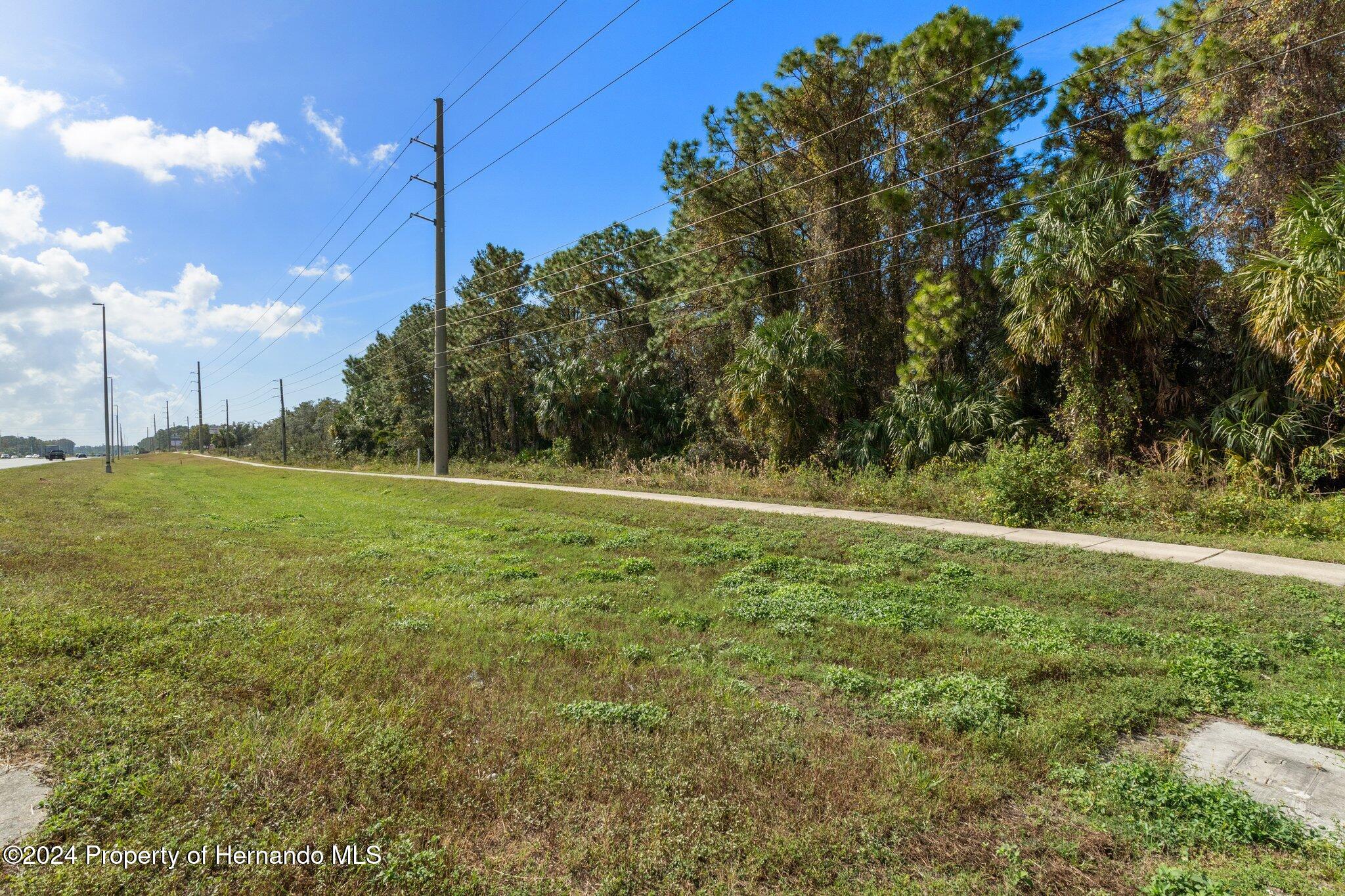 18119 Us-19 Hudson, FL 34667 - Photo 44 of 47 a view of a field with an trees