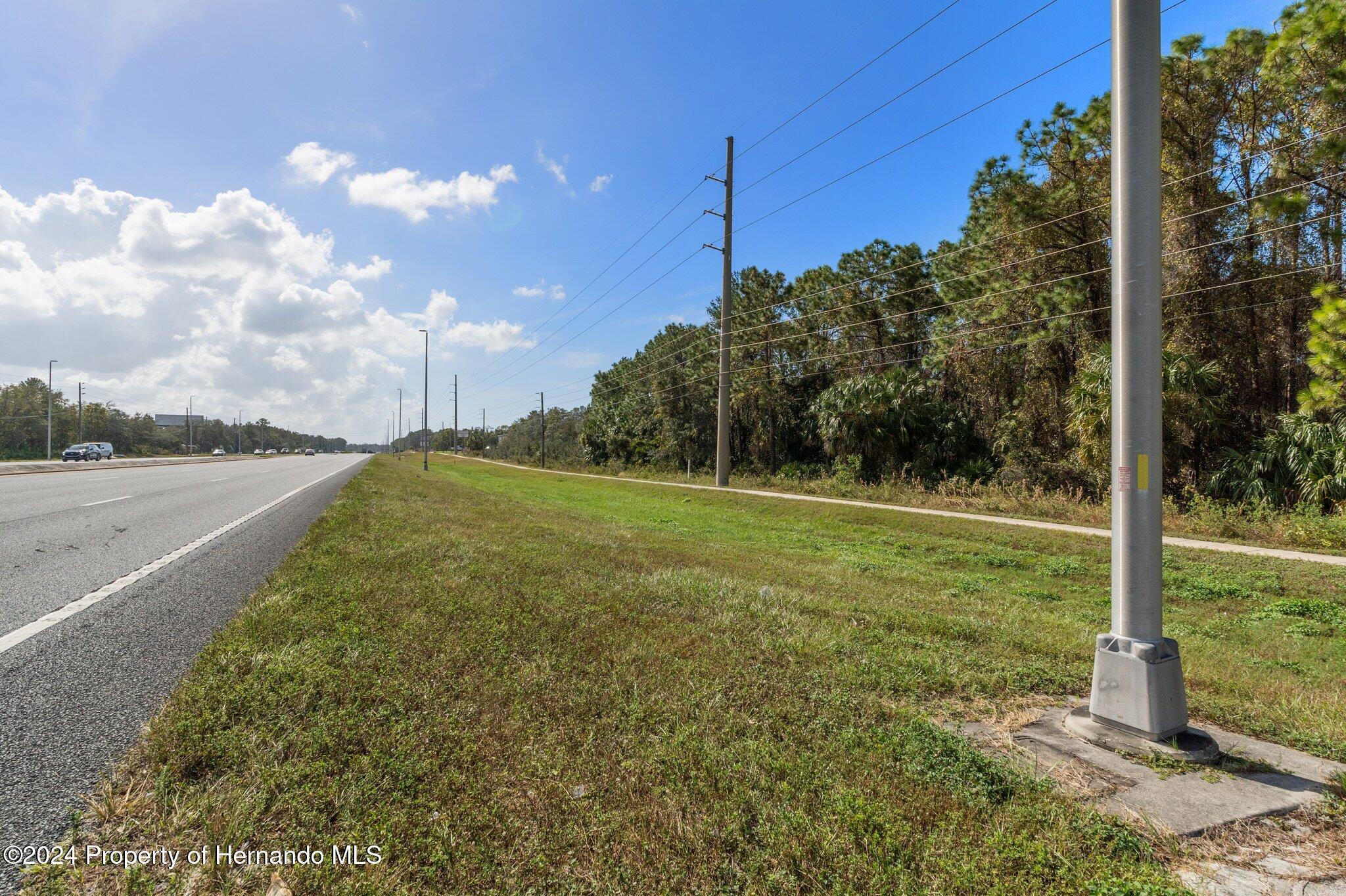 18119 Us-19 Hudson, FL 34667 - Photo 45 of 47 a view of a field with a tree in the background