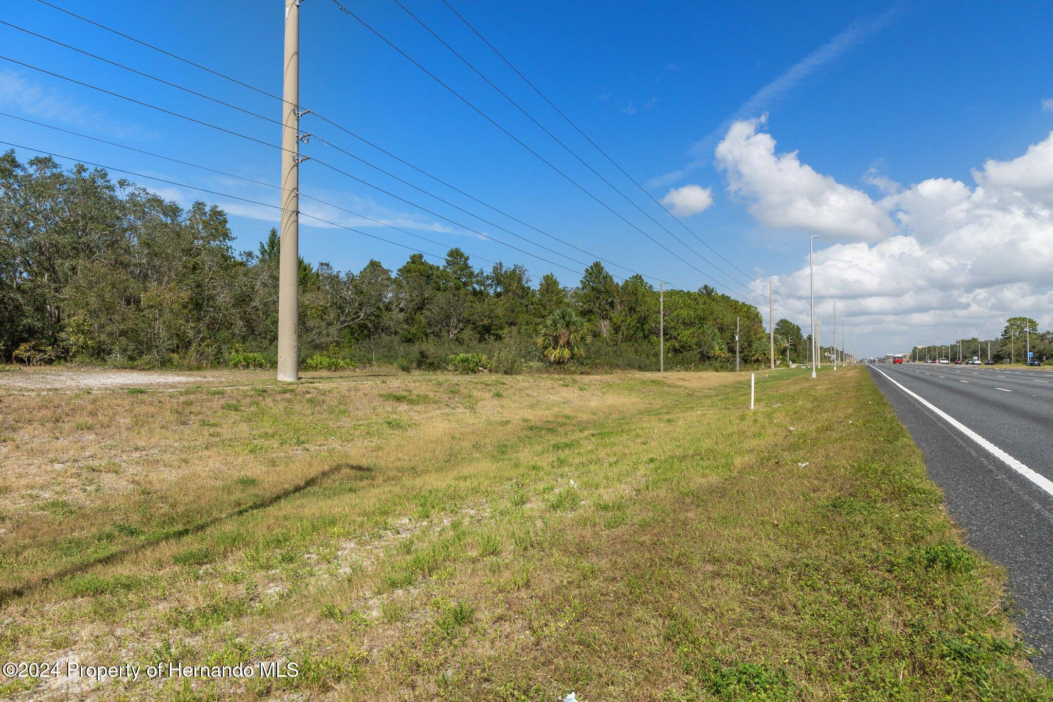 18119 Us-19 Hudson, FL 34667 - Photo 47 of 47 a view of a field with a tree in the background