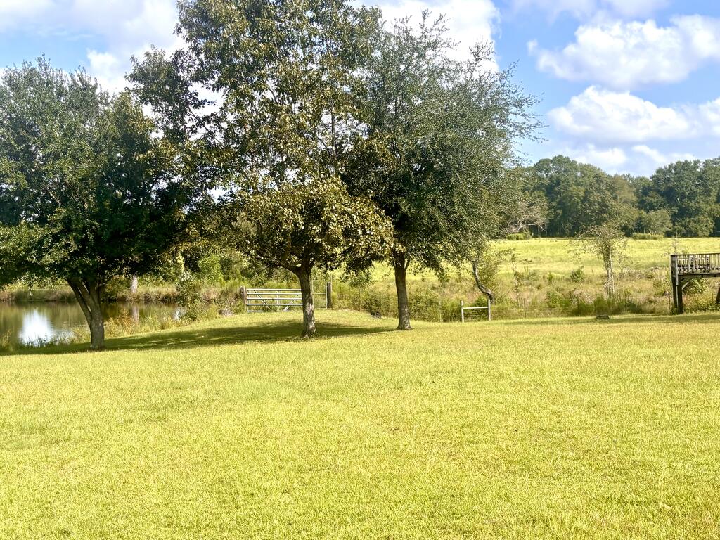 114 East T Poole Road Poplarville, MS 39470 - Photo 65 of 73 Gallery Image 65