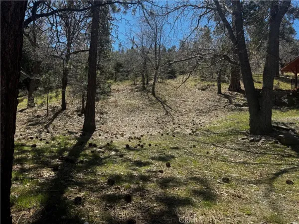 a view of a yard with trees