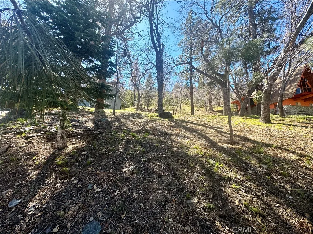 0 Oriole Road Wrightwood, CA 92397 - Photo 12 of 15
