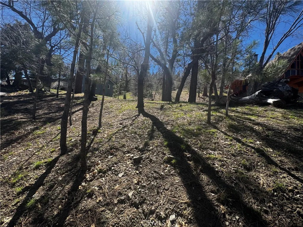 0 Oriole Road Wrightwood, CA 92397 - Photo 13 of 15