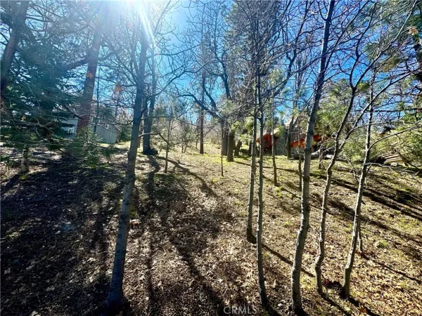 a view of road and trees