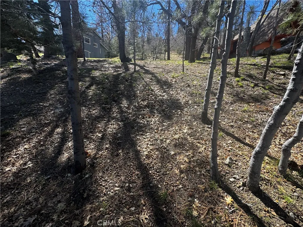 0 Oriole Road Wrightwood, CA 92397 - Photo 7 of 15
