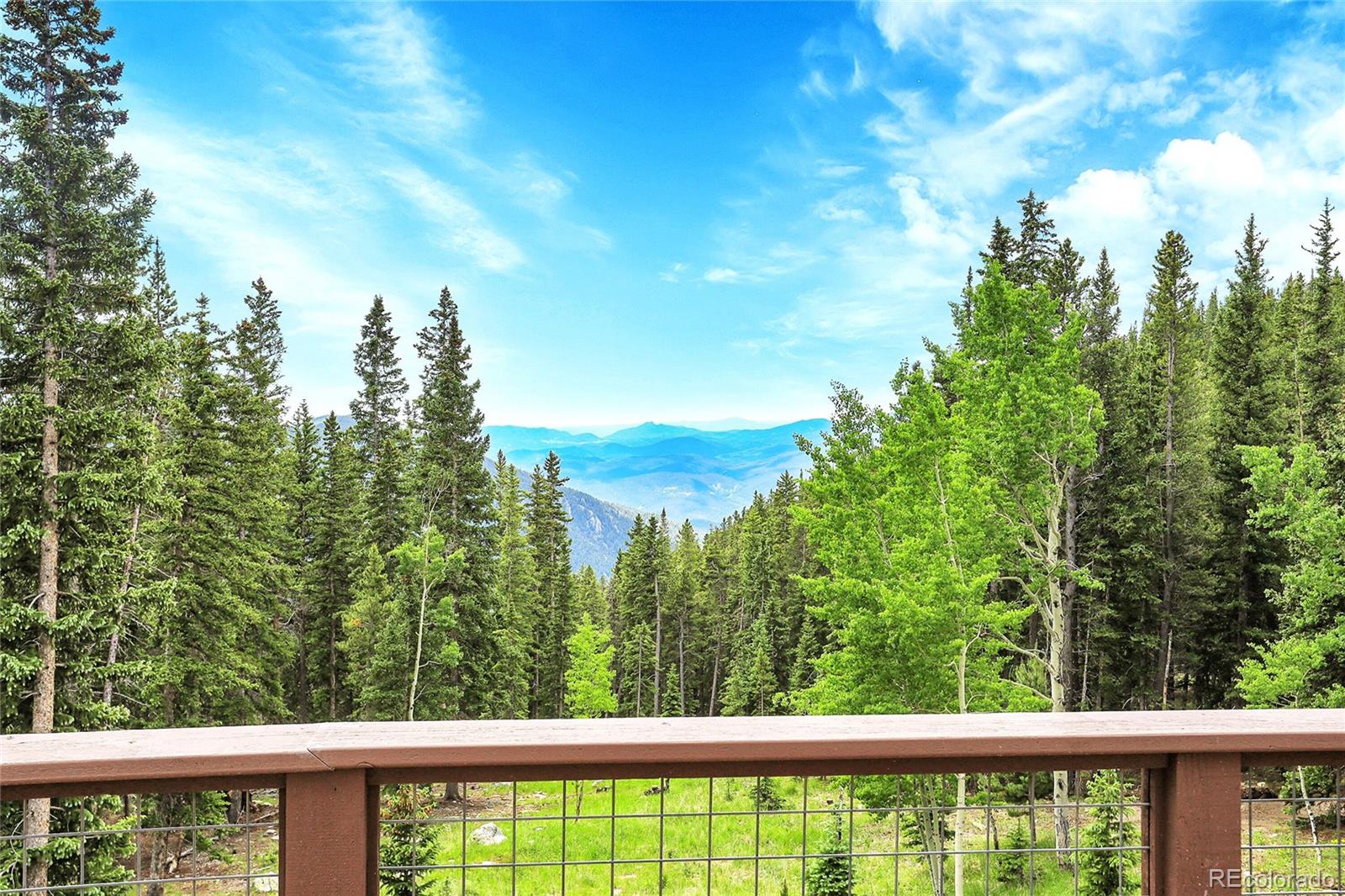 1176 Raven Rdg Road Idaho Springs, CO 80452 - Photo 3 of 50 Gallery Image 3