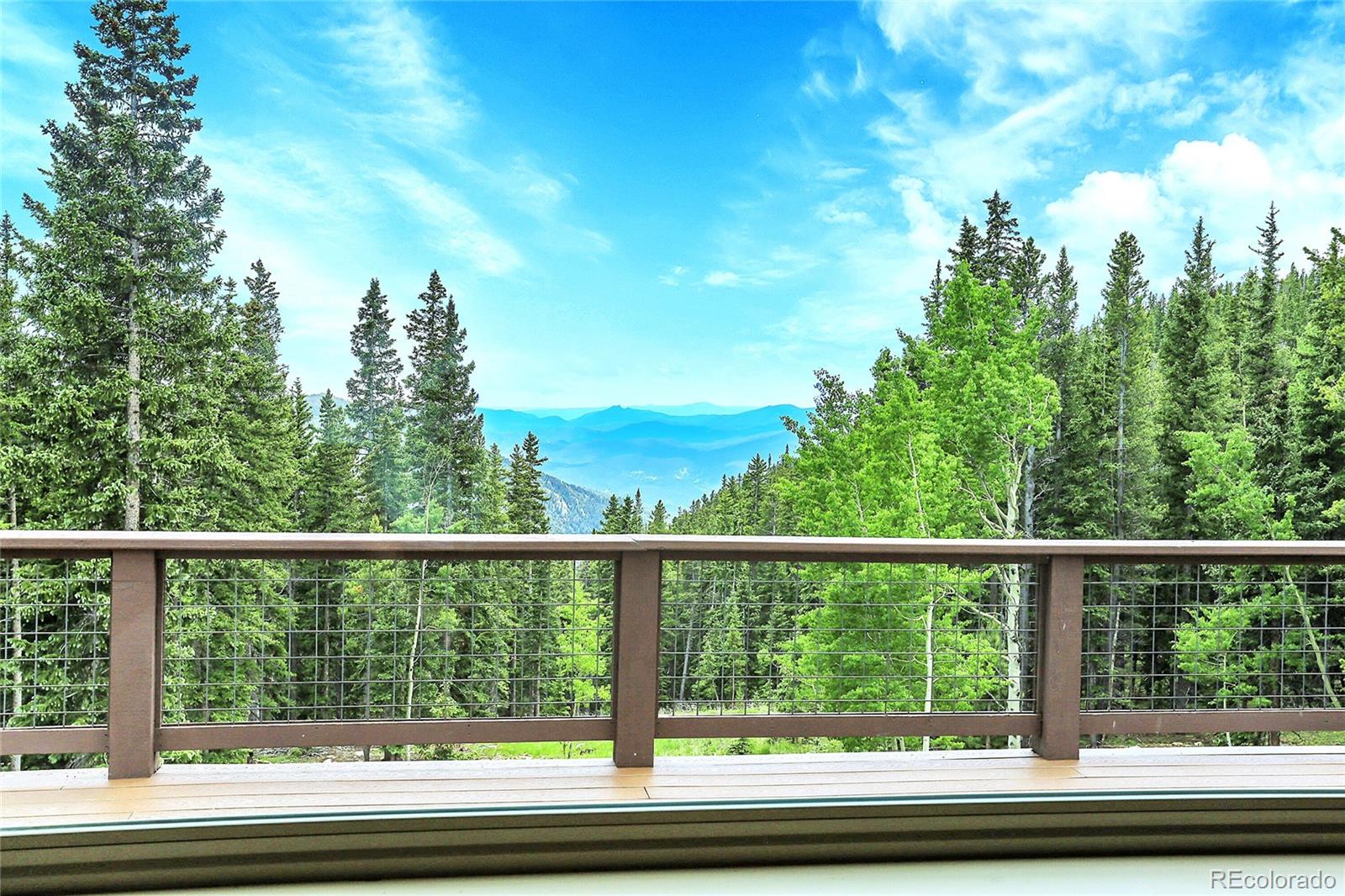 1176 Raven Rdg Road Idaho Springs, CO 80452 - Photo 40 of 50 Gallery Image 40