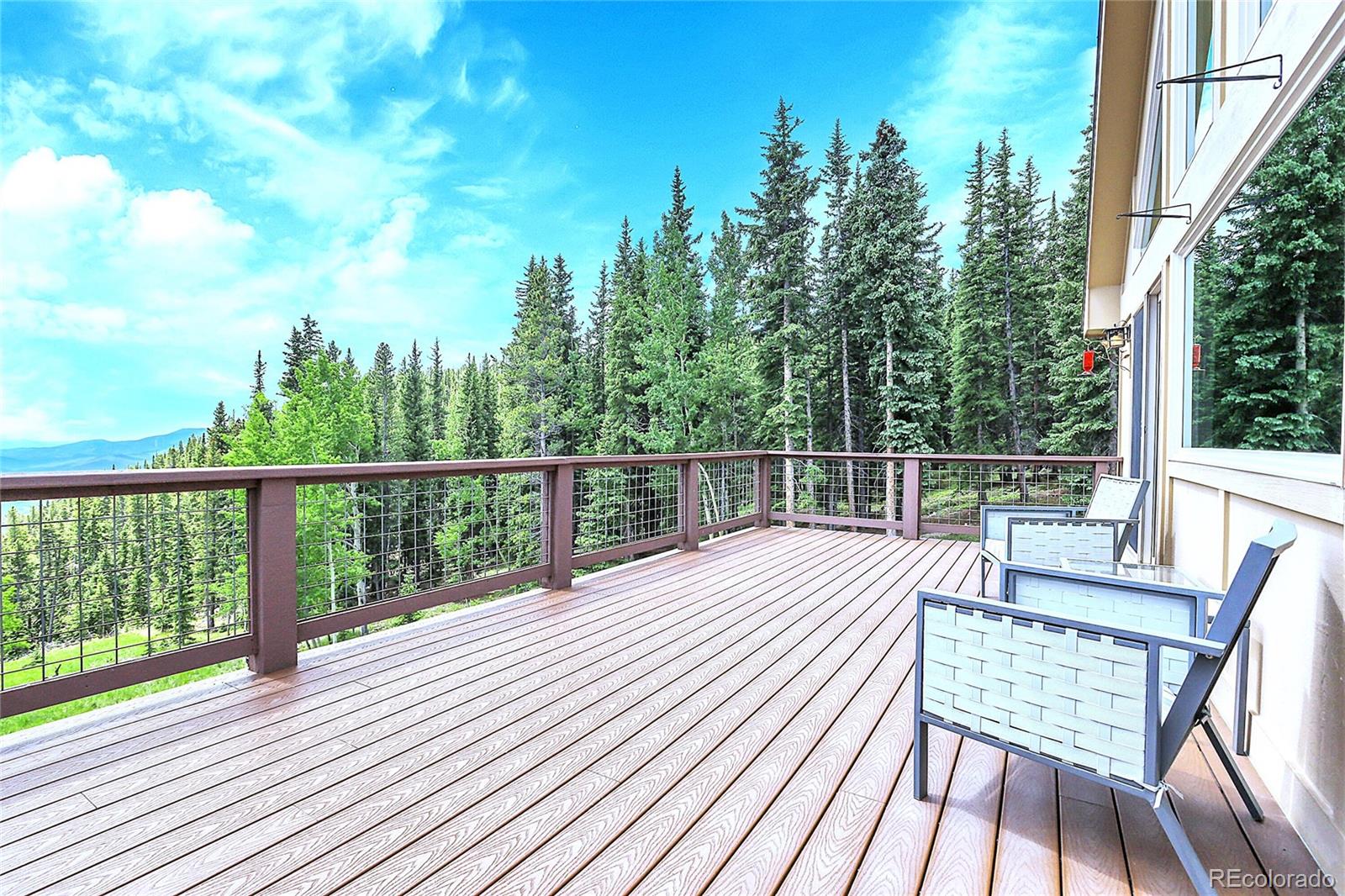 1176 Raven Rdg Road Idaho Springs, CO 80452 - Photo 6 of 50 Gallery Image 6