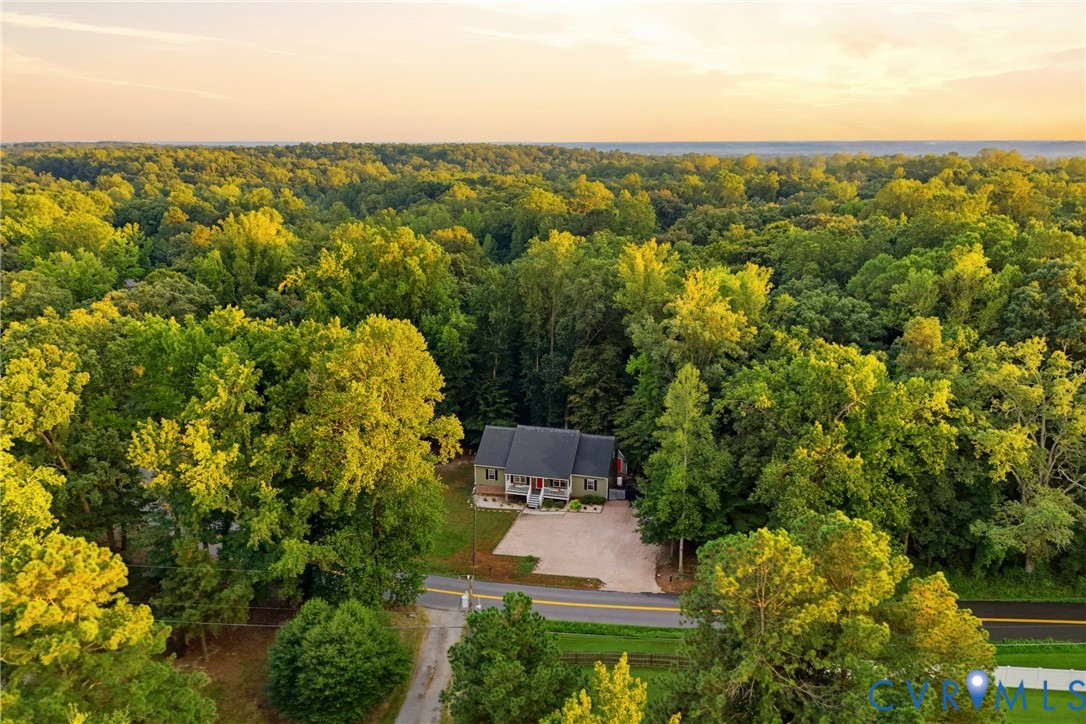 1755 Dispatch Road Quinton, VA 23141 - Photo 34 of 35 Expansive wooded surroundings with a gravel drivew