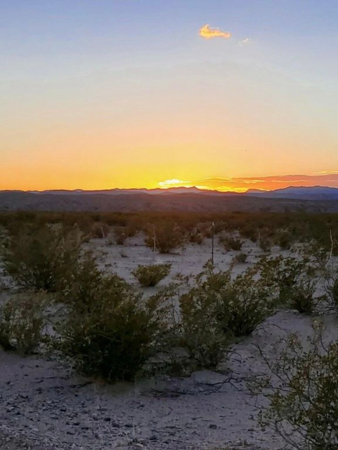 Tbd Lot 36 Tbd Ranch Salt Flat, TX 79847 - Photo 3 of 7 a view of a dry yard with trees
