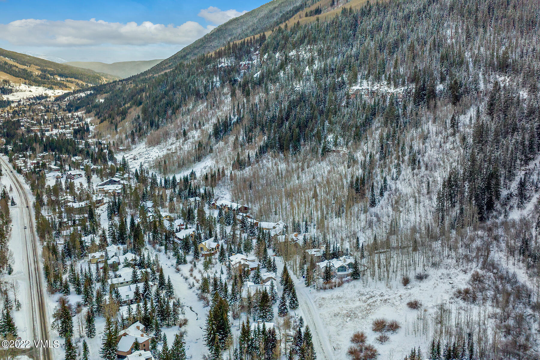 3984 Big Horn Road, Unit A Vail, CO 81657 - Photo 42 of 50 a view of a forest with a tree