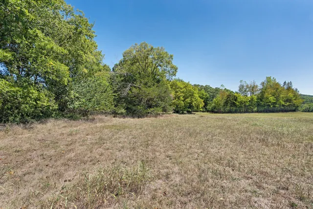 a view of a dry yard with trees in the background