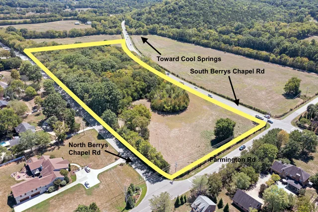 a view of a garden with a tree