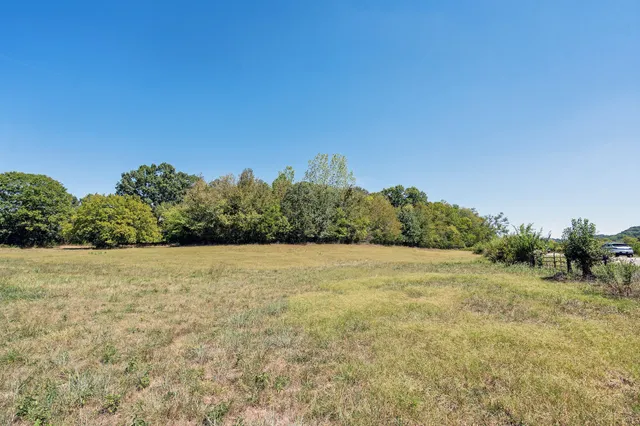 a view of a field with trees in background
