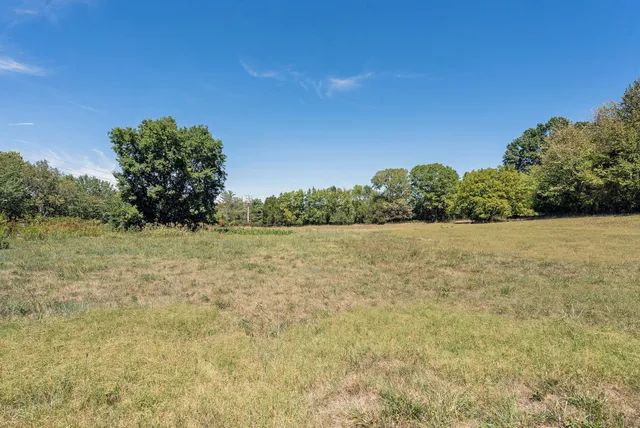 a view of a field with an ocean