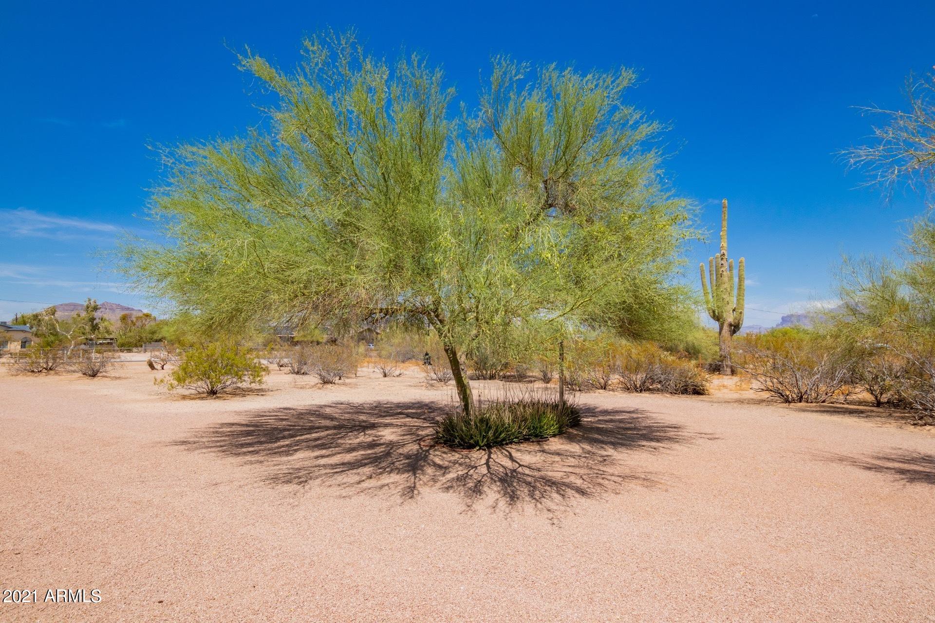10511 East Adobe Road Mesa, AZ 85207 - Photo 38 of 40 0042-17-Adobe