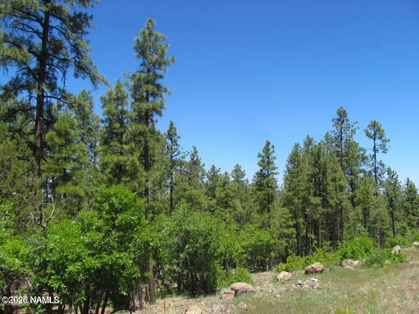 $71,500 | 1039 Timbernook Crossing, Williams, AZ 86046