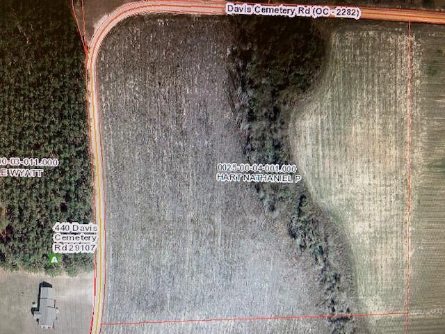 Davis Cemetery Road Neeses, SC 29107 - Photo 1 of 1 Main View