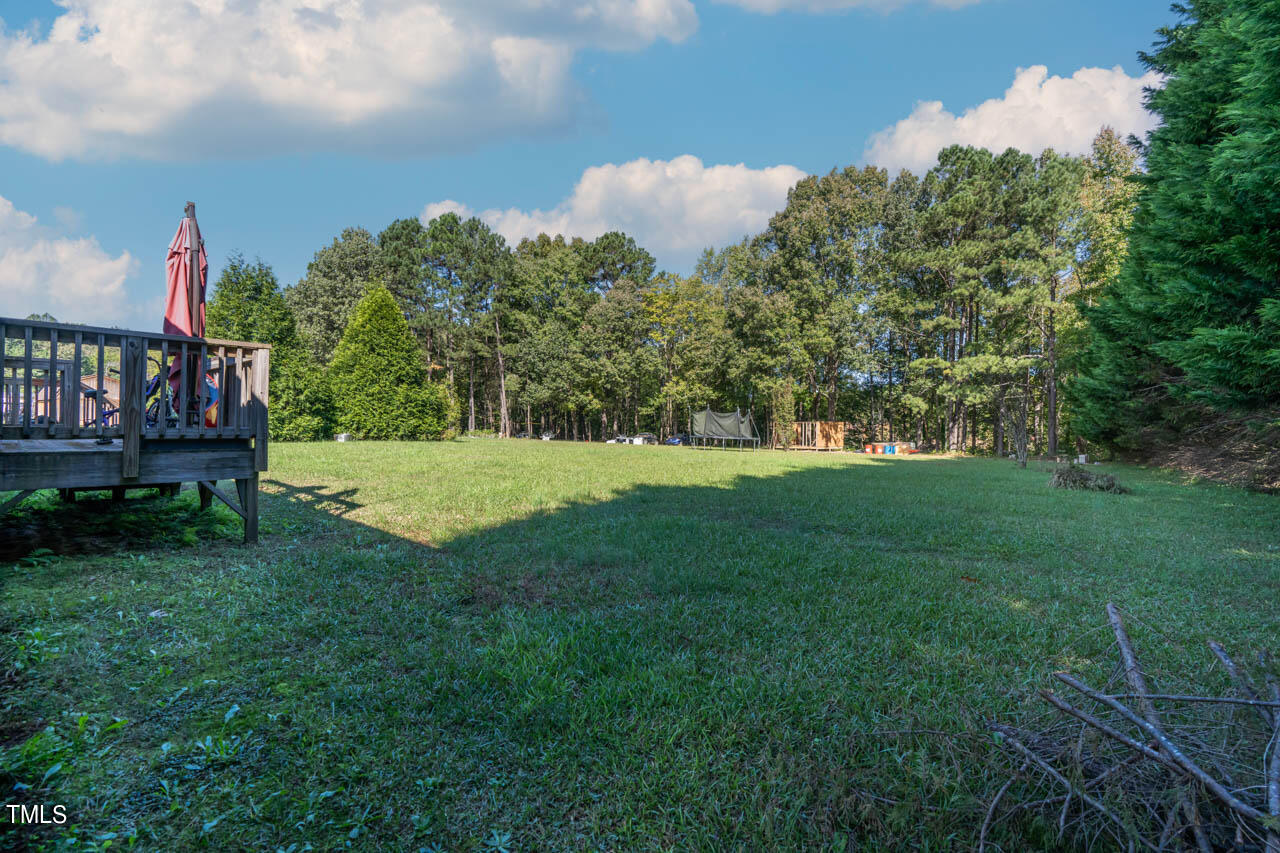 491 Williams Road Spring Hope, NC 27882 - Photo 38 of 40 DSC04699