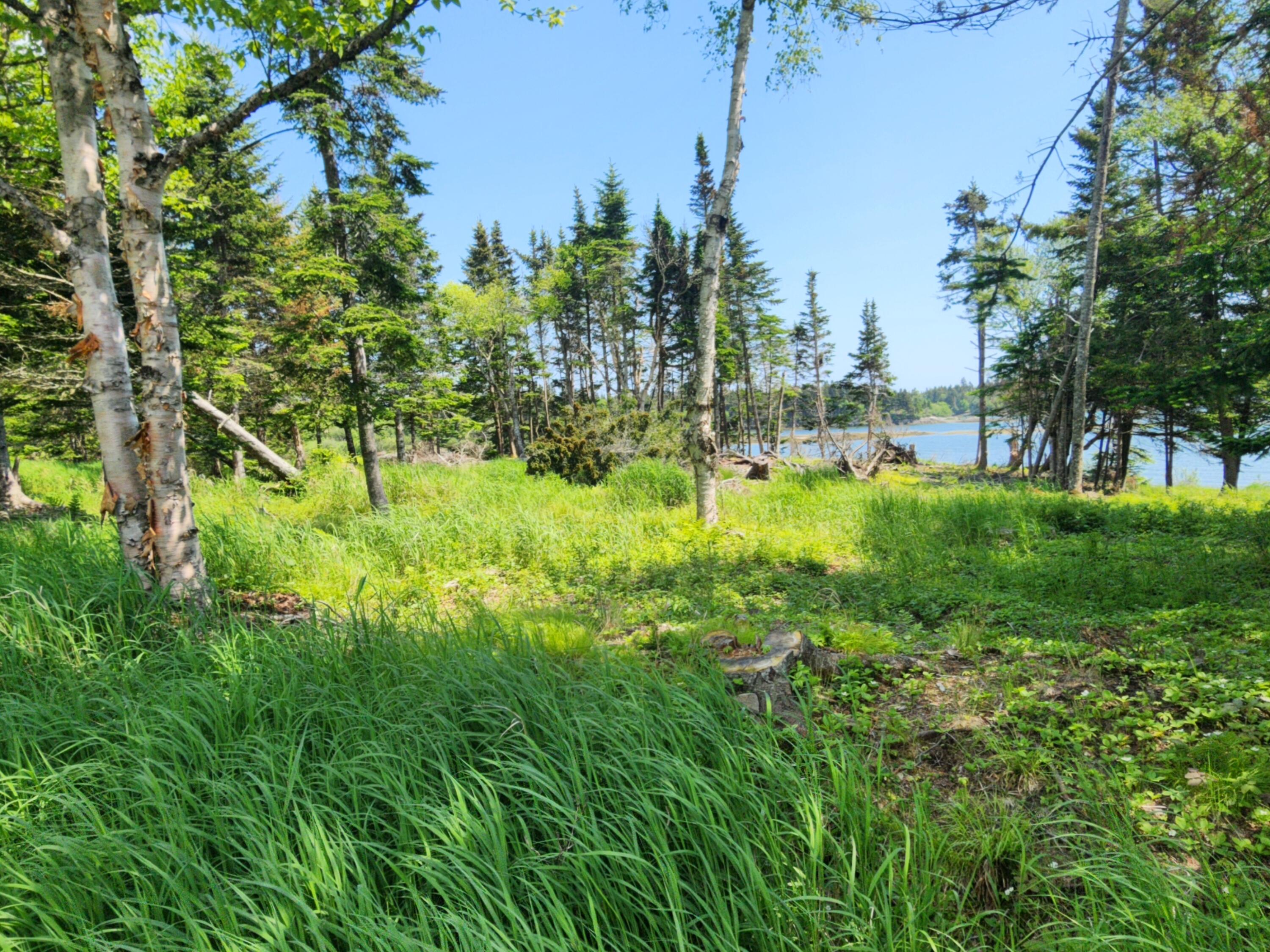 25 Chambers Point Road Roque Bluffs, ME 04654 - Photo 6 of 12 20250611_140026