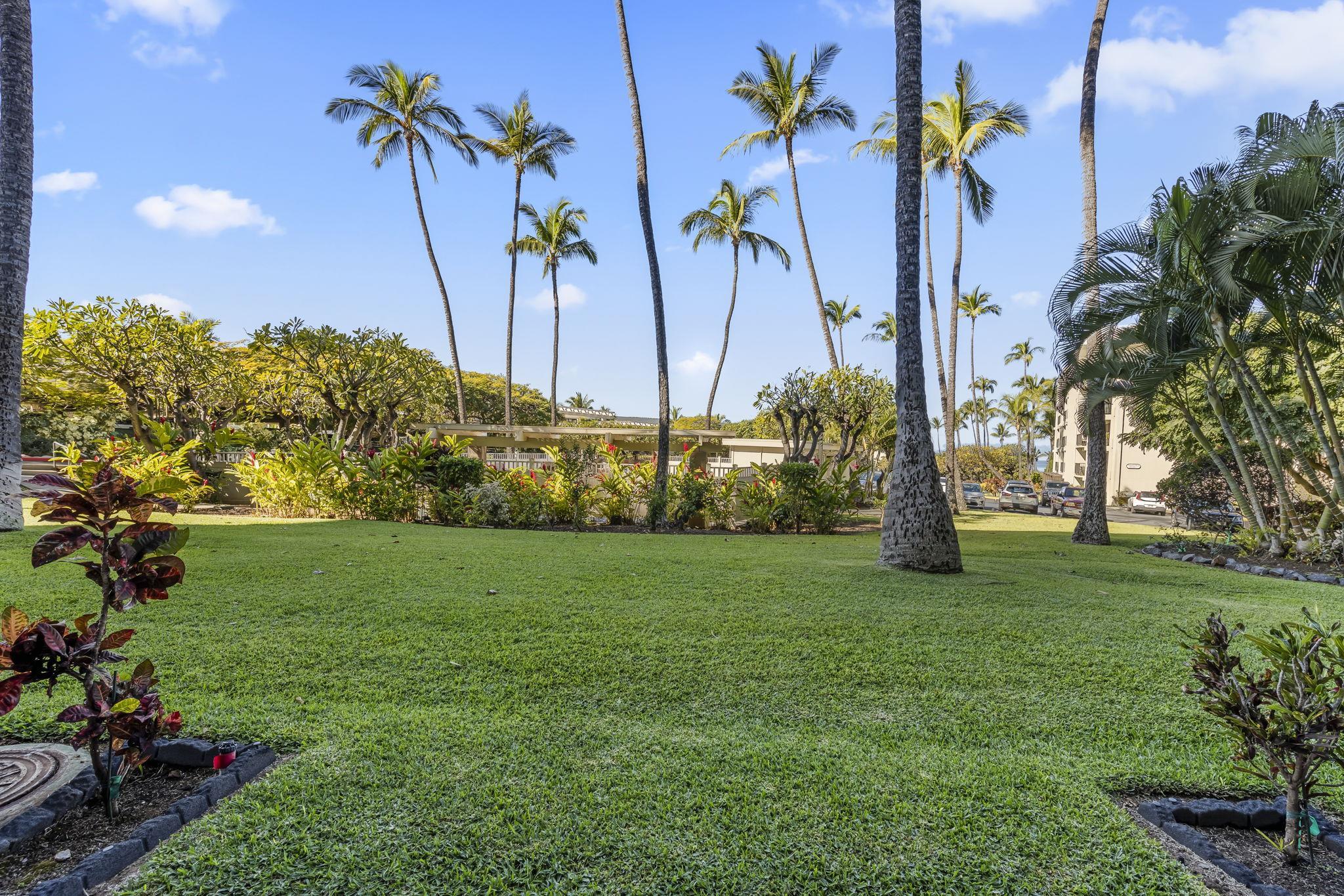 2531 South Kihei Road, Unit DG10 Kihei, HI 96753 - Photo 19 of 31 a view of a garden