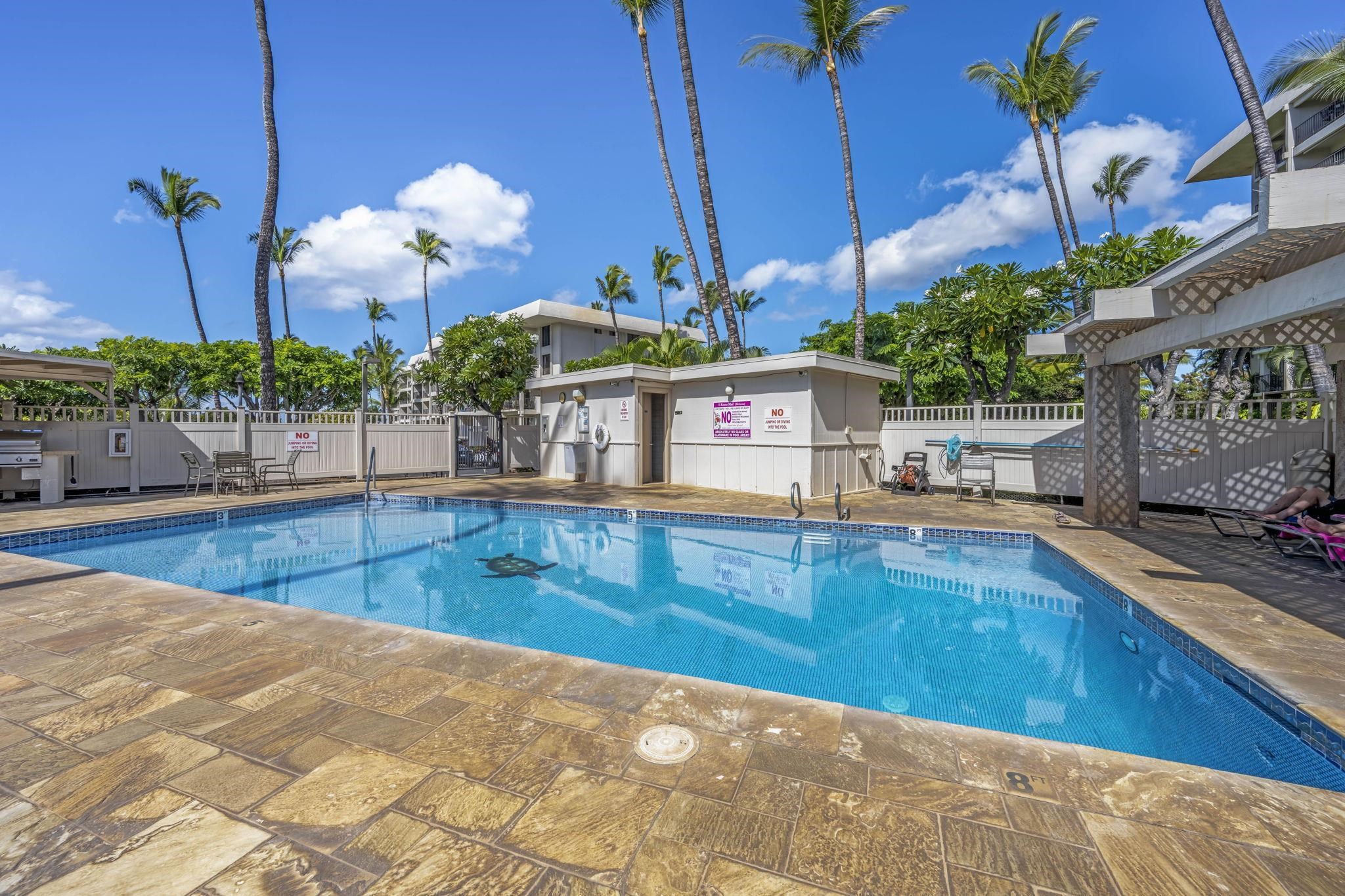 2531 South Kihei Road, Unit DG10 Kihei, HI 96753 - Photo 22 of 31 a view of a kitchen with kitchen island and a potted plant