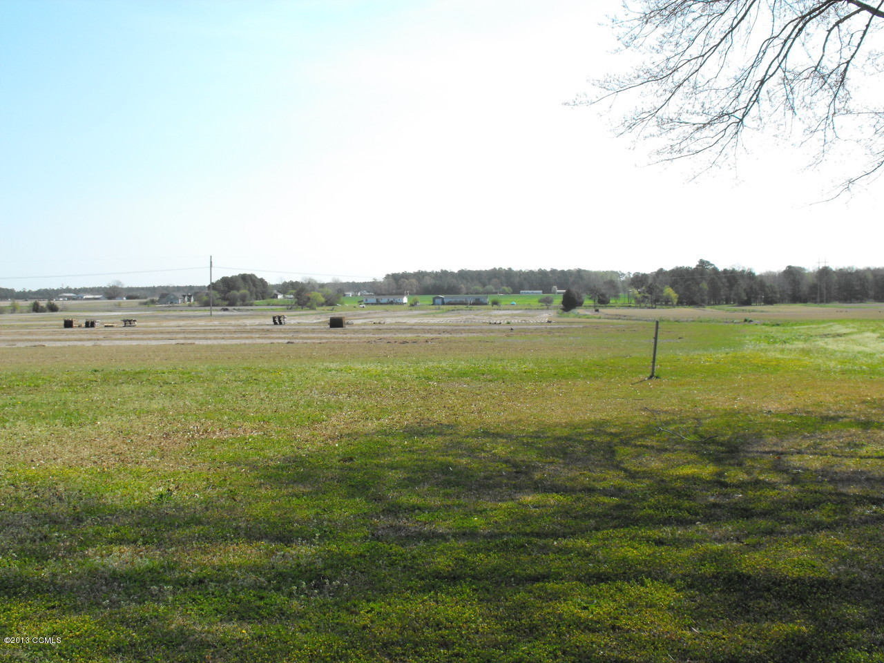 1301 Newport Loop Road Newport, NC 28570 - Photo 11 of 11 Sod fields view