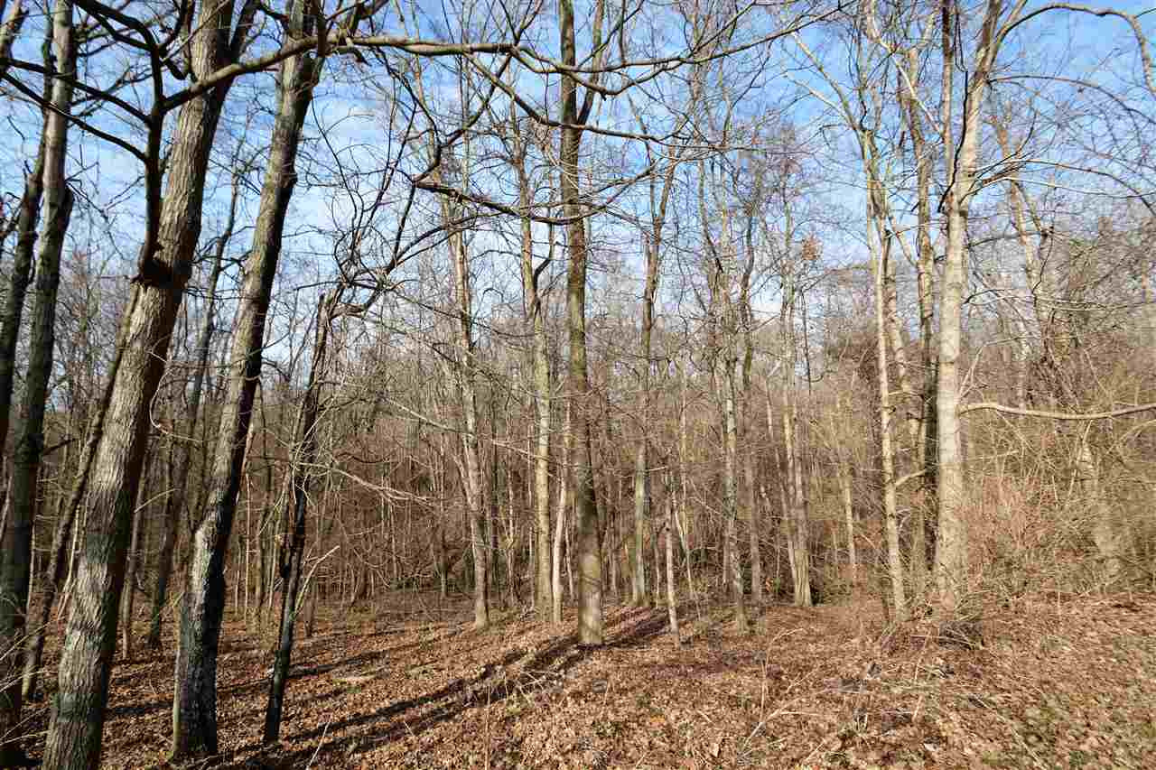 1040 Stephenson Mill Road Walton, KY 41094 - Photo 24 of 30 Gallery Image 24