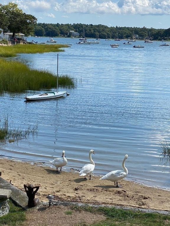 4 Ross Avenue Wareham, MA 02571 - Photo 12 of 39