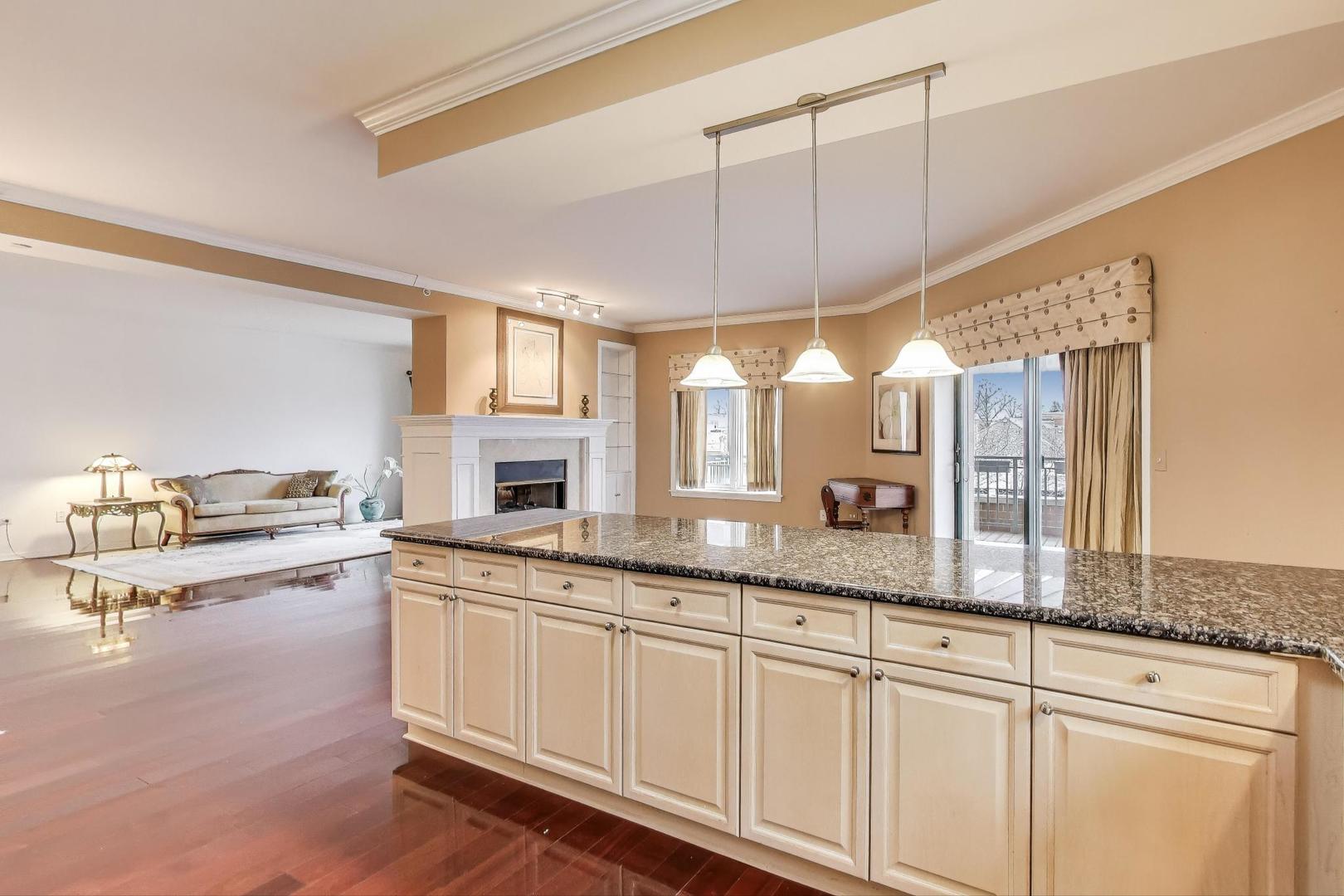 131 West Adelaide Street, Unit 309 Elmhurst, IL 60126 - Photo 13 of 39