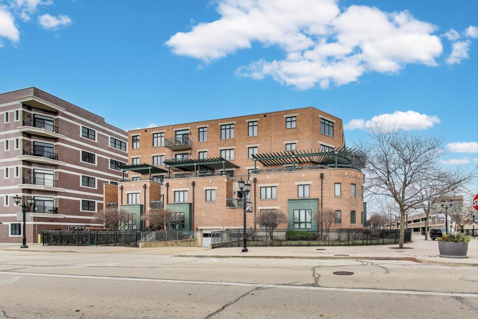 131 West Adelaide Street, Unit 309 Elmhurst, IL 60126 - Photo 3 of 39