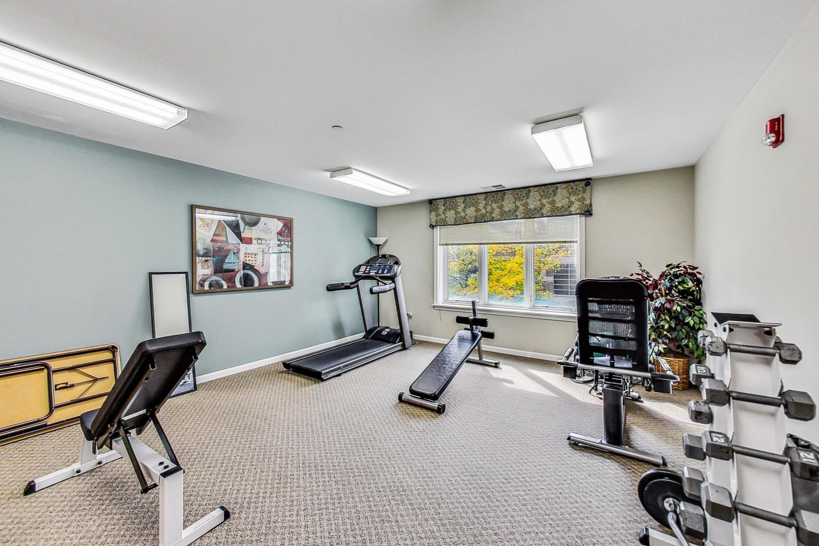 131 West Adelaide Street, Unit 309 Elmhurst, IL 60126 - Photo 34 of 39