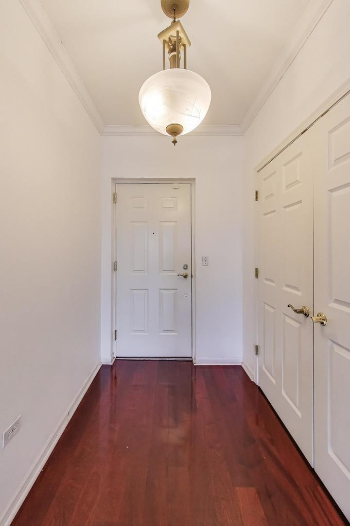 131 West Adelaide Street, Unit 309 Elmhurst, IL 60126 - Photo 5 of 39