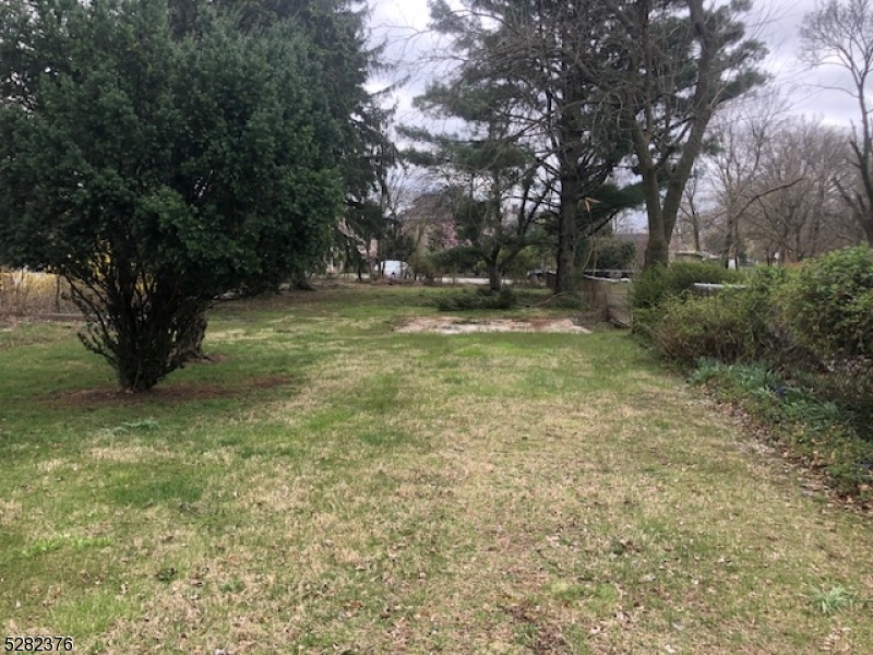 a view of backyard with green space