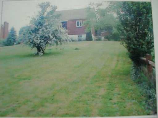 309 Murrysville Road Level Green, PA 15085 - Photo 5 of 8 Yard/Garden.