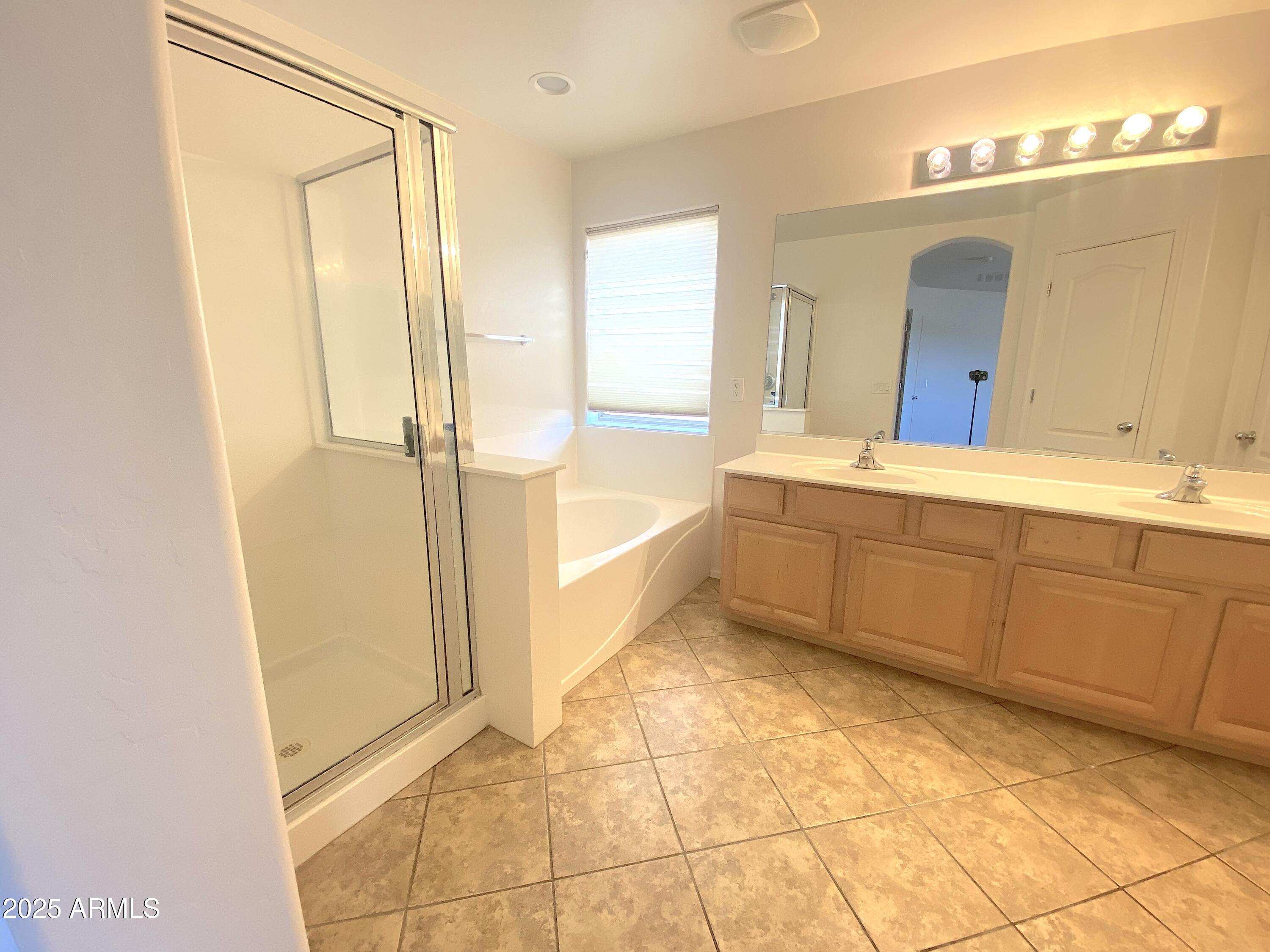 2036 West Quick Draw Way San Tan Valley, AZ 85144 - Photo 12 of 19 a bathroom with a sink a mirror and a bathtub