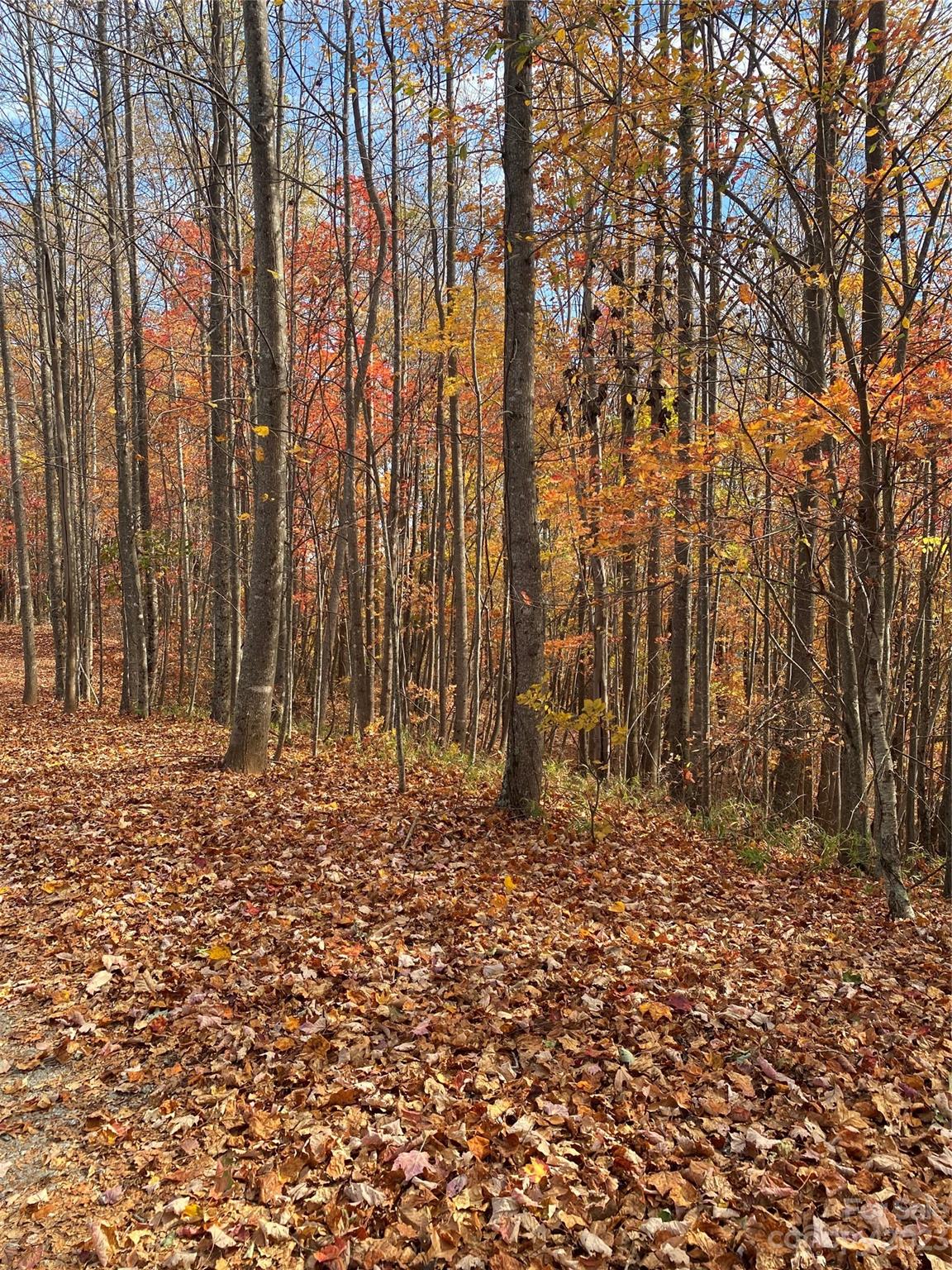Tbd Meditation Rdg Dr Extension, Unit 43 Nebo, NC 28761 - Photo 13 of 15