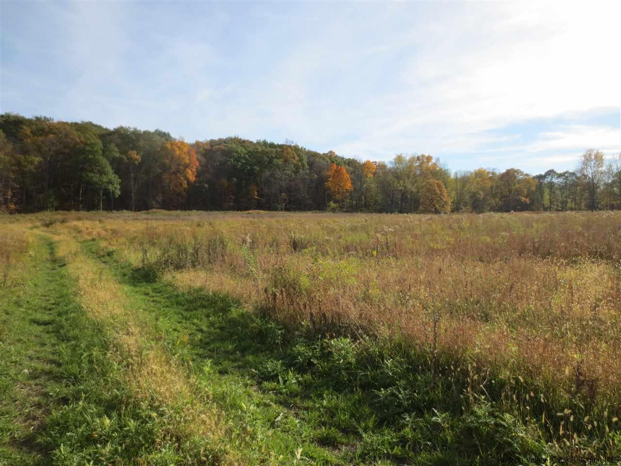 Lot 3 Phillies Bridge Road New Paltz, NY 12561 - Photo 3 of 7 Photo 3