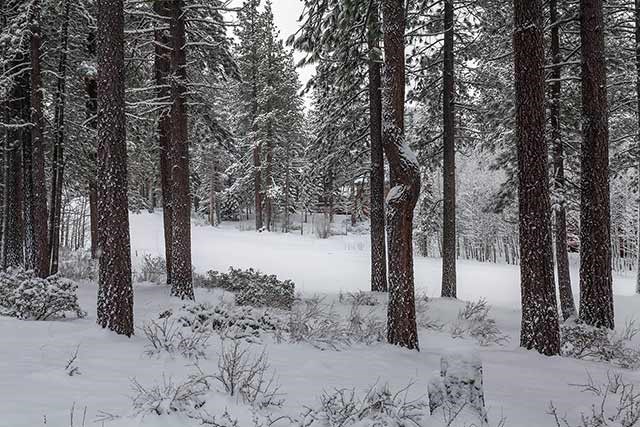 123 Basque Drive Truckee, CA 96161 - Photo 13 of 14 private view greenbelt golfcourse