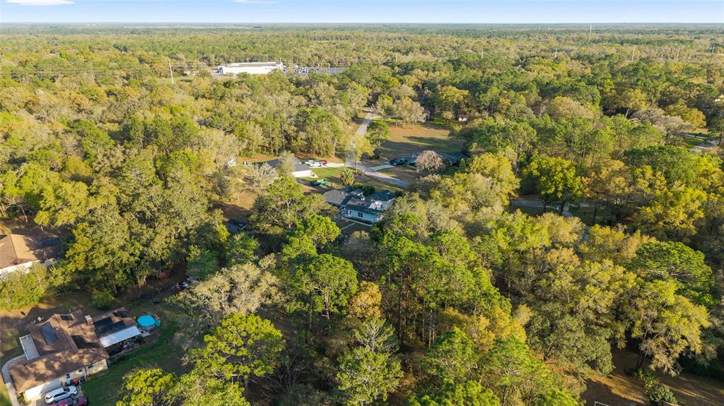 10043 Southwest 202nd Circle Dunnellon, FL 34431 - Photo 53 of 68