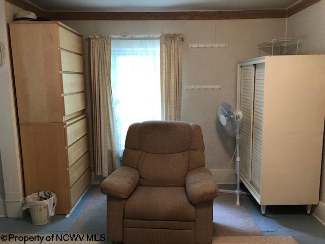 245 Douglas Road Thomas, WV 26292 - Photo 12 of 20 Gallery Image 12