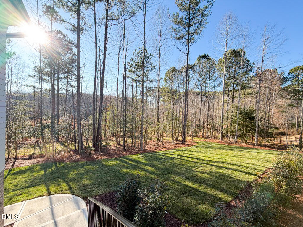 1513 Rock Dove Way Raleigh, NC 27614 - Photo 38 of 38 IMG_0628 2 (Medium)