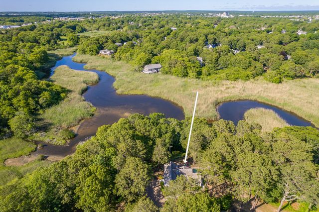 a view of a garden with plants and large trees