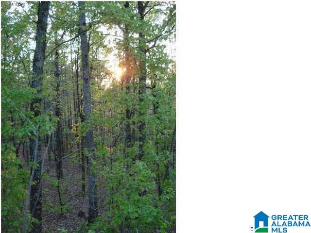 3960 South Shades Crest Road, Unit 1 Birmingham, AL 35244 - Photo 11 of 11 Gallery Image 11