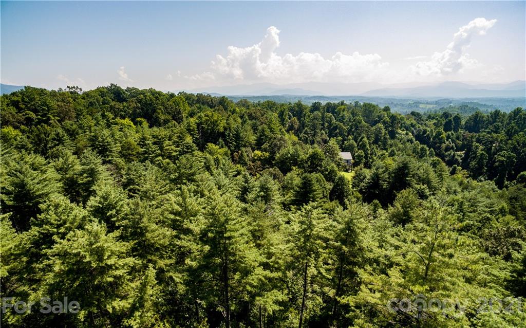 999 Windswept Ridge Road Marshall, NC 28753 - Photo 1 of 18 Gallery Image 1