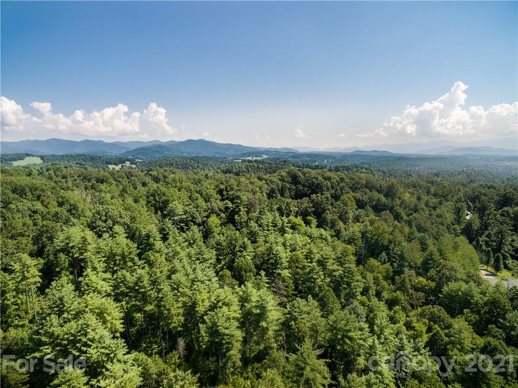 999 Windswept Ridge Road Marshall, NC 28753 - Photo 14 of 18 Gallery Image 14